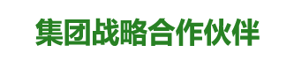 集團(tuán)架構(gòu)